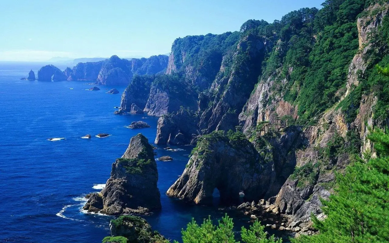 先进高性能自动化